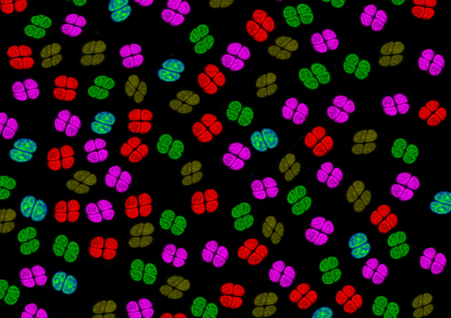 NRMC-F