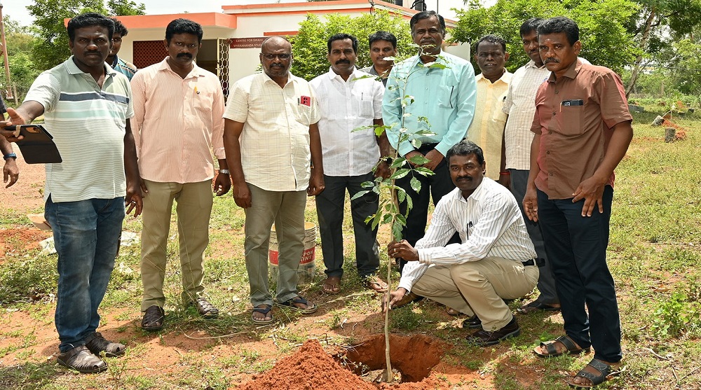 GRAND-TREE-PLANTATION-2025