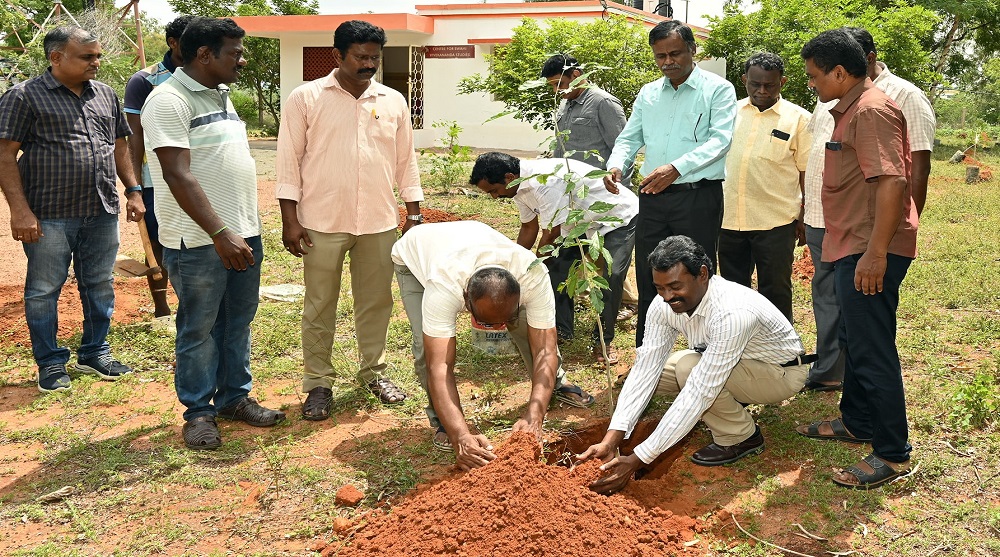GRAND-TREE-PLANTATION-2025