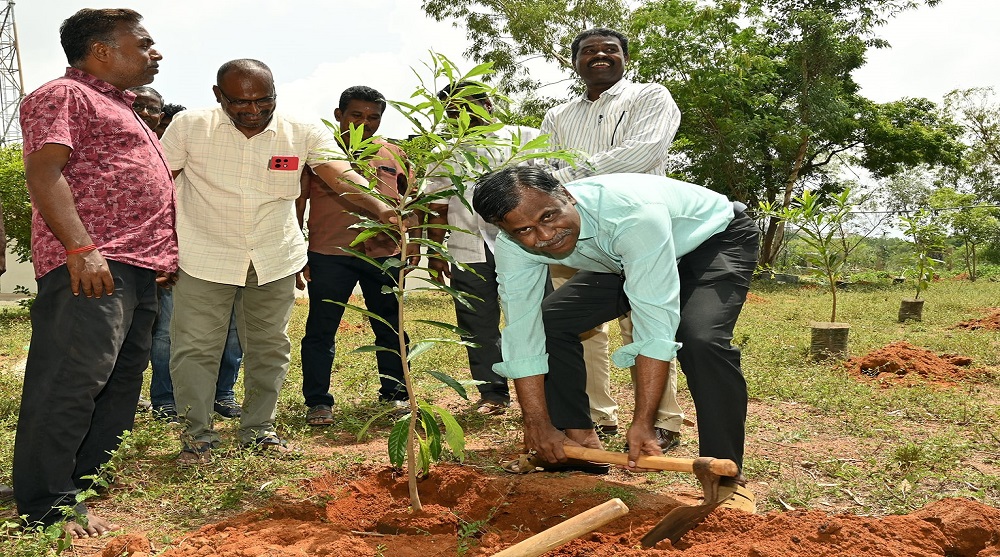 GRAND-TREE-PLANTATION-2025