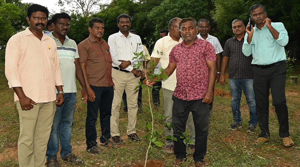GRAND-TREE-PLANTATION-2025
