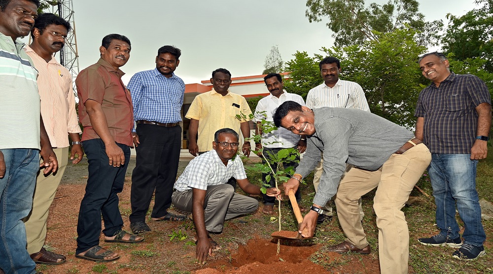 GRAND-TREE-PLANTATION-2025