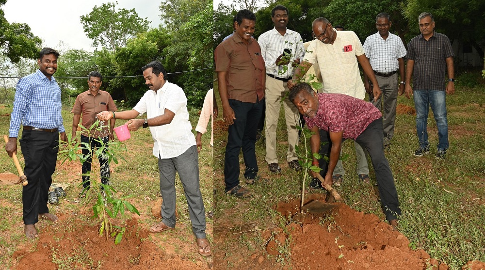 GRAND-TREE-PLANTATION-2025
