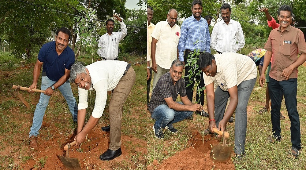 GRAND-TREE-PLANTATION-2025